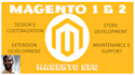 fix the bugs and customize magento 1 and magento 2 store