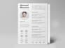professionally design and rewrite your resume