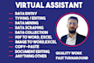 do data entry, mining, and scraping job