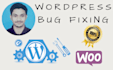 fix wordpress bugs and issues