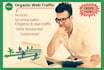 drive unlimited web traffic