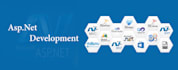 develop or fix your asp net mvc website
