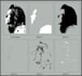 make multi layer stencil of your any image