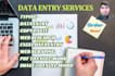 do excel data entry, copy paste, typing, web research