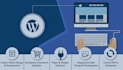 develop a fast and professional wordpress business website