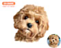 draw a cartoon for your pets in 24 hour