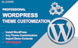 professionally install wordpress, setup theme, do customization