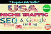 do  targeted USA web traffic with rank your website