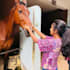 write perfect SEO veterinary blog posts, pet, animal articles