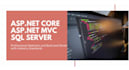 fix and develop any asp net mvc, asp net core application