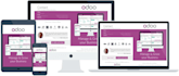 fix odoo website and odoo theme