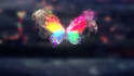 create custom butterfly animations tailored for your brand