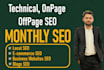 do complete monthly SEO package service high ranking in google