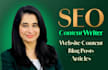 write SEO blog posts, articles, and website content for you