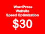 wordpress website speed optimization