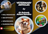 write professional and SEO optimized veterinary articles