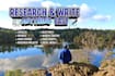 research and write anything fast, articles, reports, whitepapers, blogs and more