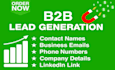 offer b2b lead generation and data entry in 24hrs