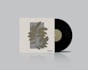 design your album cover art for vinyls and cd