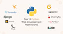 do professional python programming services