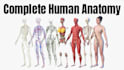 do professional 3d medical animation for you