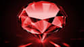 do web application development and mvp in ruby on rails