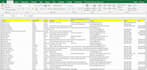 clean your excel contact database