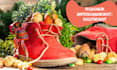 write your poem for sinterklaas or christmas