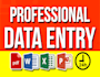 do data entry, copy paste, excel to PDF, google doc, VA etc