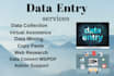 data entry , data mining , data convert , virtual assistance