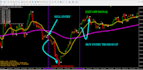give you  a fx predictor none repaint forex indicator