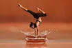 give you high quality contextual link on my health and beauty blog