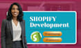 build a professional shopify ecommerce website