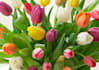 tell you how to save $10.00 on any of your purchase any site online.