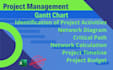 create gantt chart, schedule timeline in primavera wrike excel