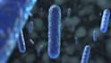 do high quality 3d medical animation and illustration