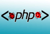 fix bugs and issues in your php web app