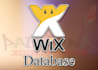 build advanced functionality database for your wix site