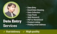 do perfect data entry, web research, copy paste, excel entry