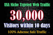 generate 30k USA targeted website traffic within 10 days