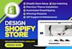 build ecommerce website shopify, dropshipping store