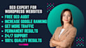 be onpage and offpage website SEO expert for top google rankings, boost ranking
