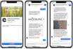 share the ultimate MLM chat bot template