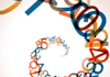 give you a basic numerology reading