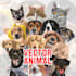 draw vector for animal or any pet in 24 hours