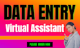 be virtual assistant for data entry, copy paste and retyping PDF tasks