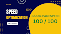 do wordpress speed optimization for google pagespeed insight