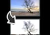 crop 3 images and Make Bacground Transparent
