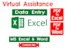 do data entry and virtual assistant for you