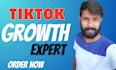 do professionally organic tiktok growth